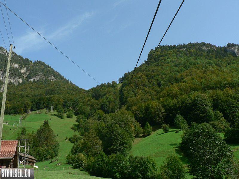 k-P1130824.JPG