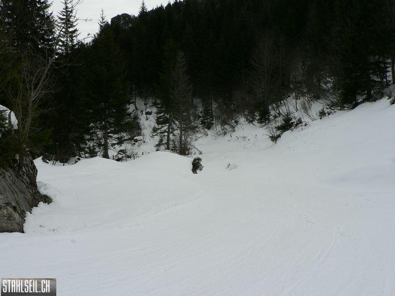 k-P1480221.JPG