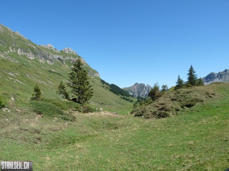k-P1190664.JPG
