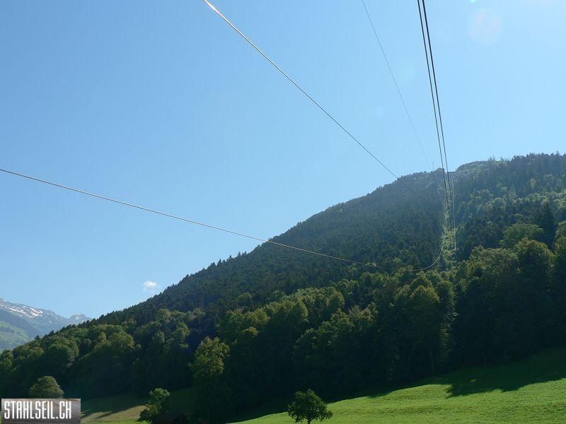 k-P1020838.JPG