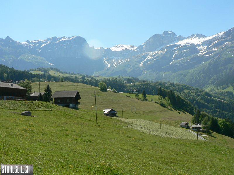 k-P1020895.JPG