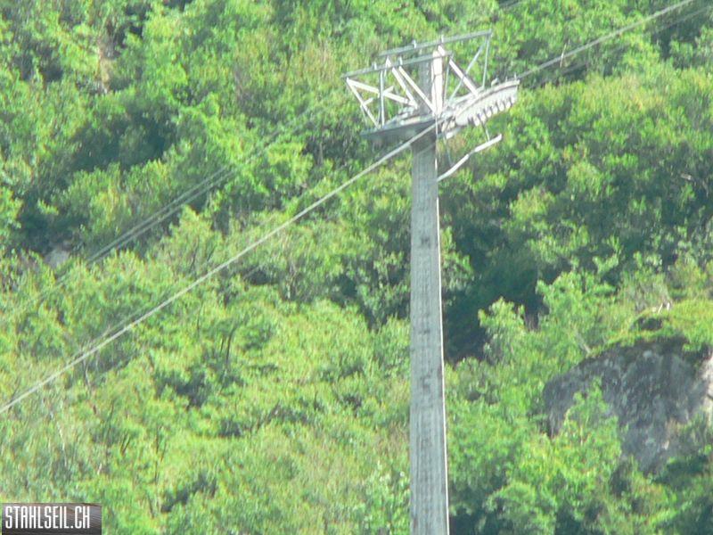 k-P1350829.JPG