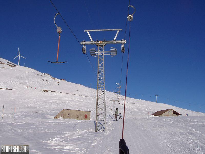 k-P2040363.JPG