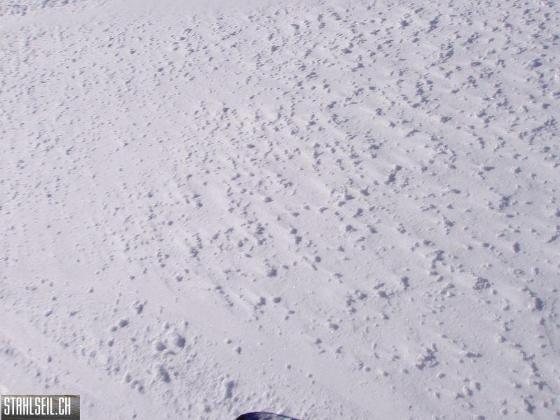 k-P2050066.JPG