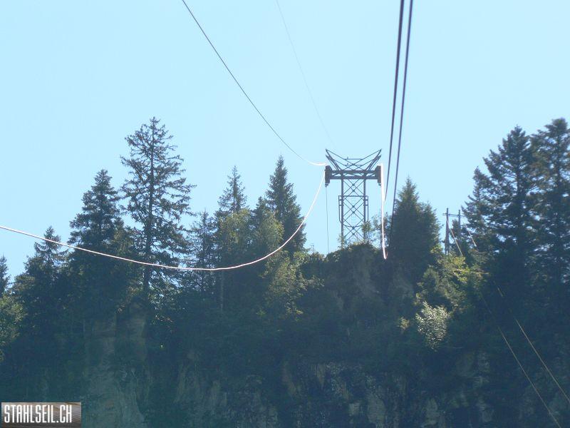 k-P1730031.JPG