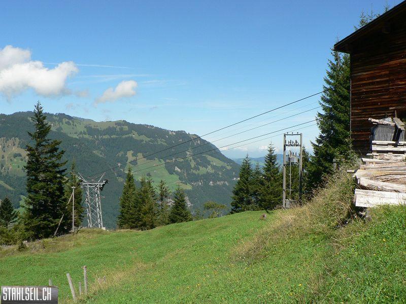 k-P1730061.JPG