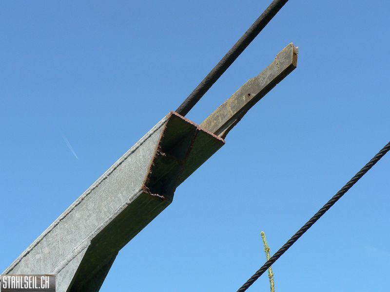 k-P1730067.JPG