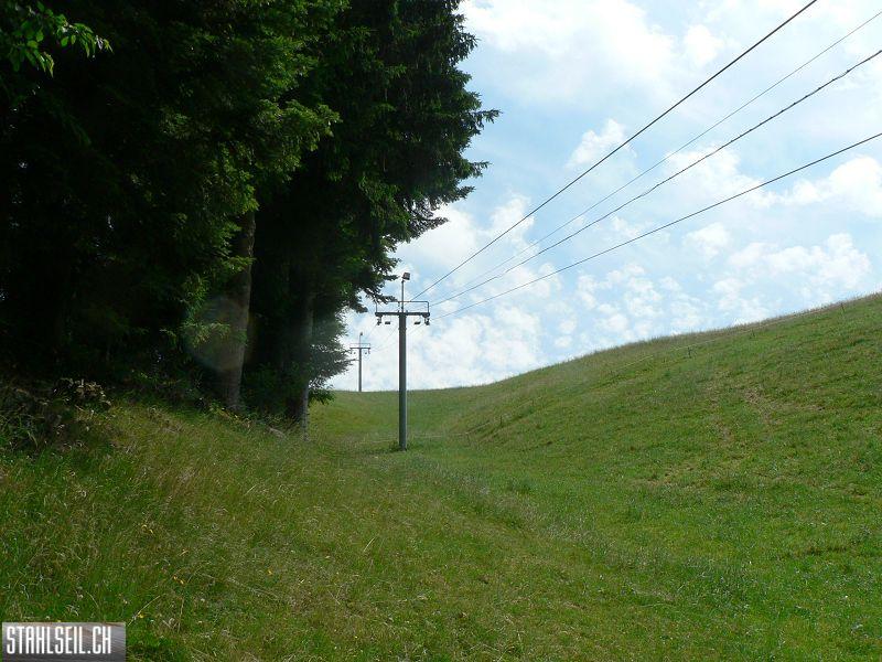 k-P1710275.JPG