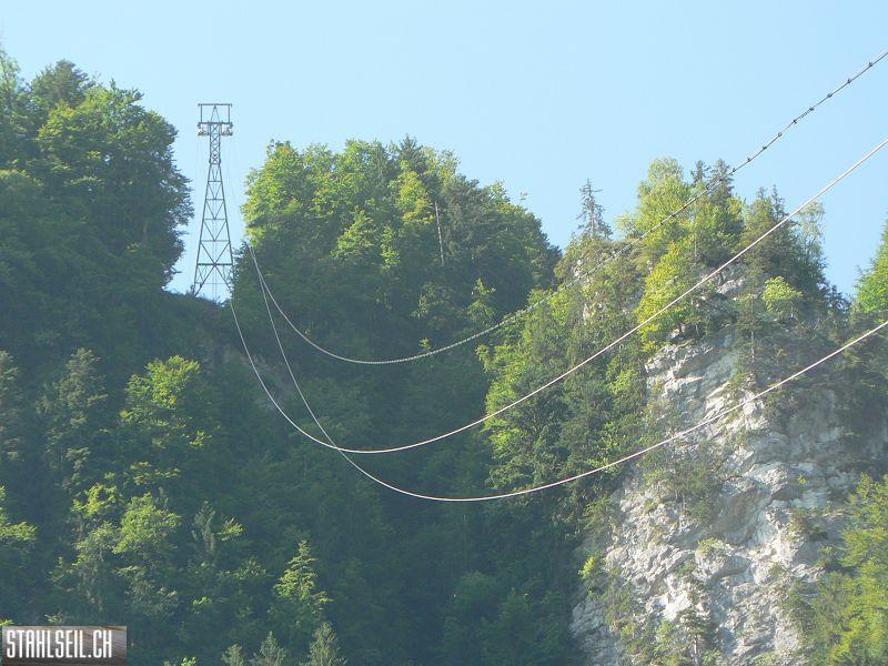 k-P1700260.JPG