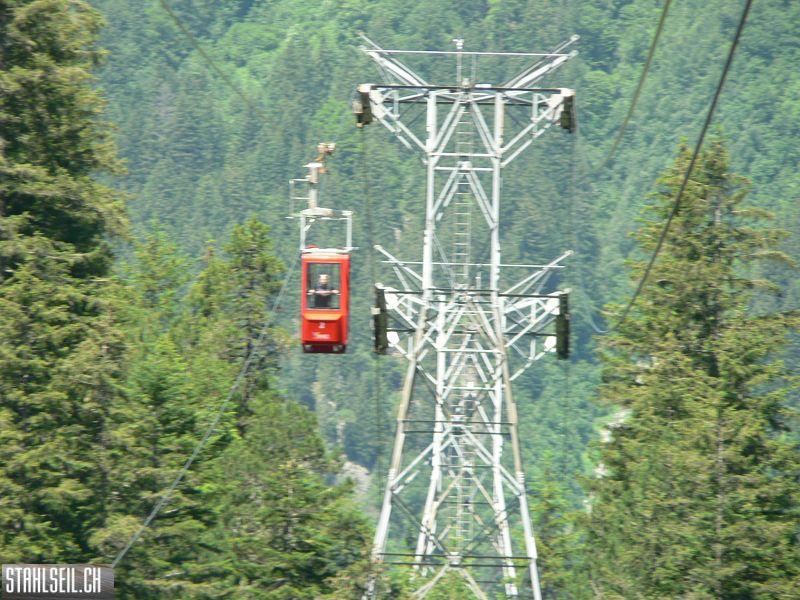 k-P1360174.JPG