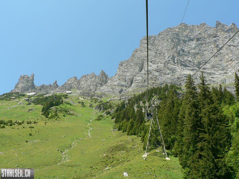 k-P1360265.JPG