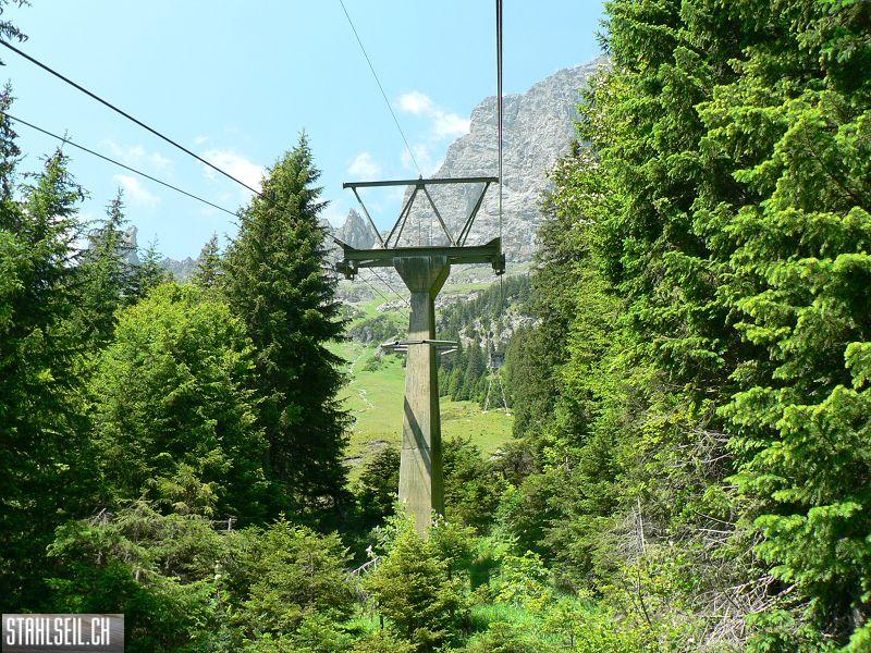 k-P1360323.JPG