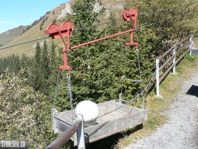 k-P1760773.JPG