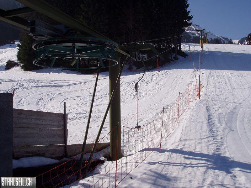 k-P3200083.JPG