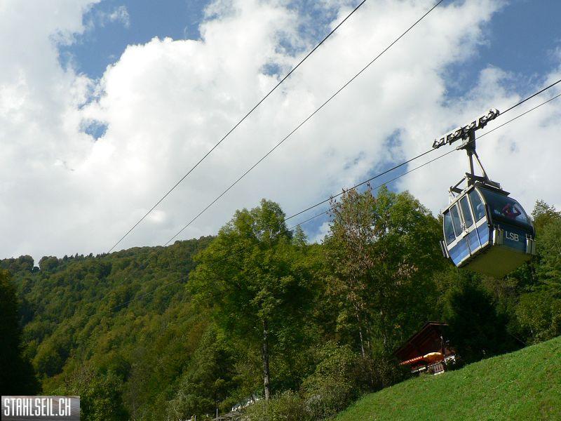 k-P1140448.JPG