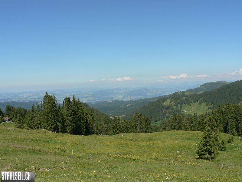 k-P1700603.JPG