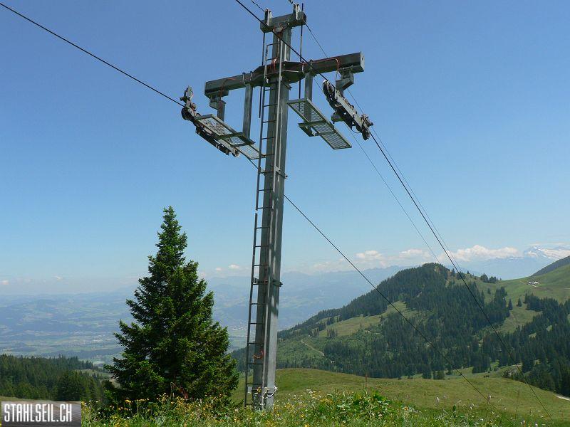 k-P1700373.JPG