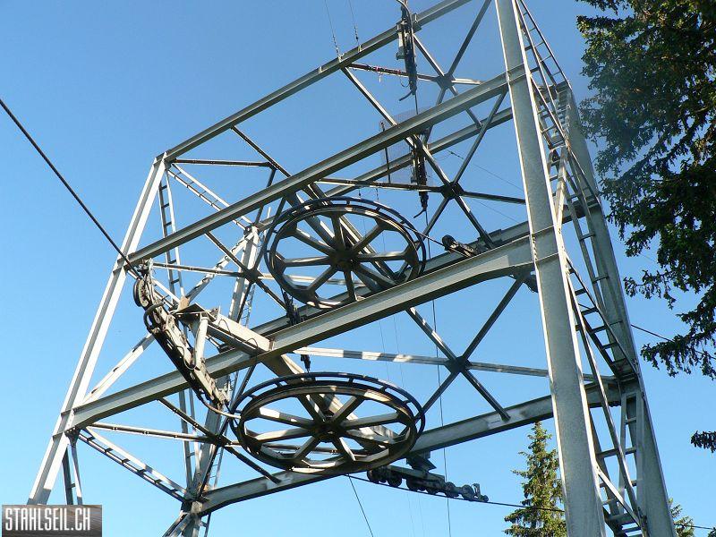 k-P1700778.JPG