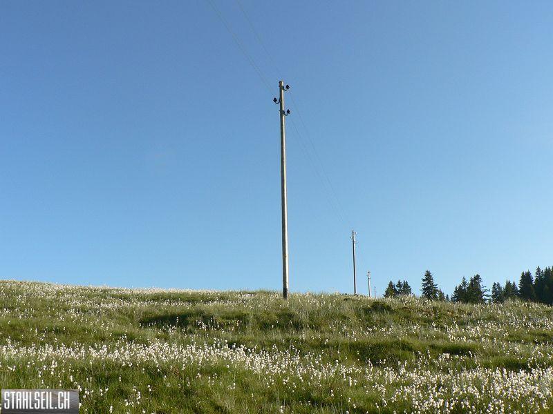 k-P1700818.JPG
