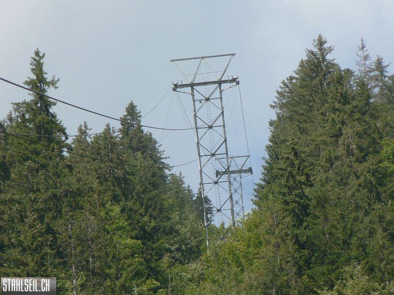 k-P1740385.JPG