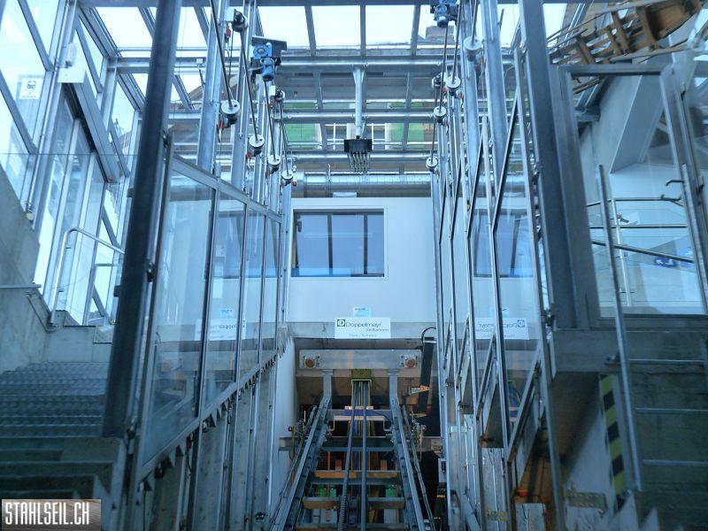 k-P1010825.JPG