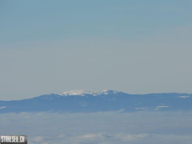 k-P1520341.JPG