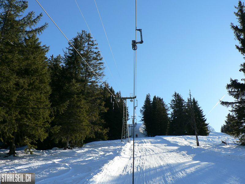k-P1530663.JPG