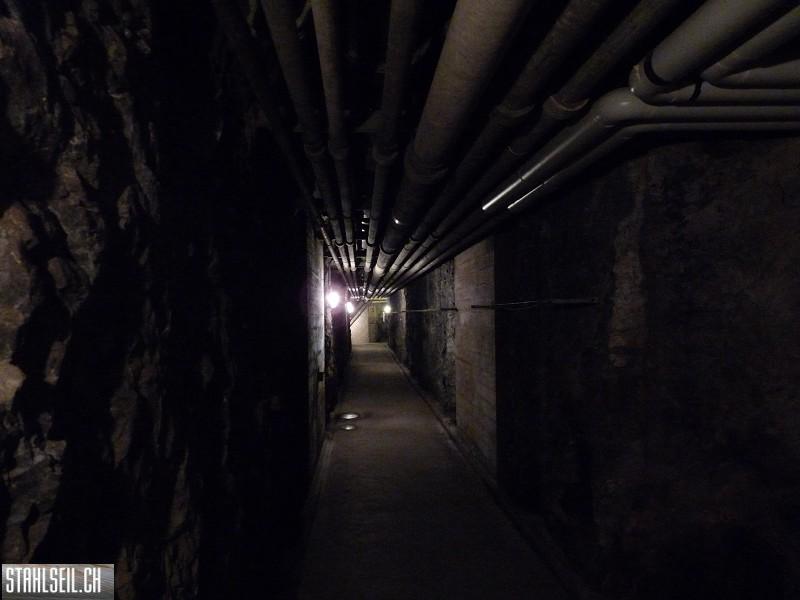 k-P1400820.JPG