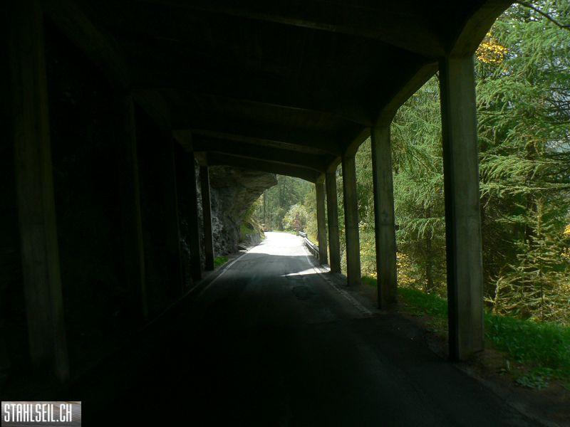 k-P1440882.JPG