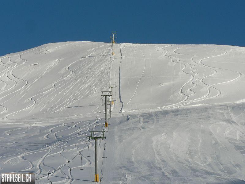 k-P1490069.JPG