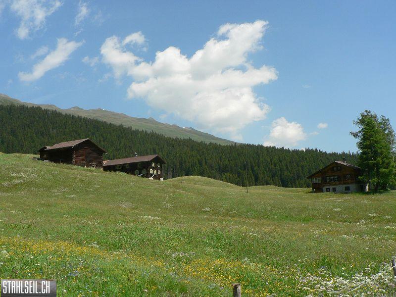 k-P1700065.JPG