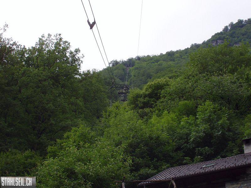 k-P7090033.JPG