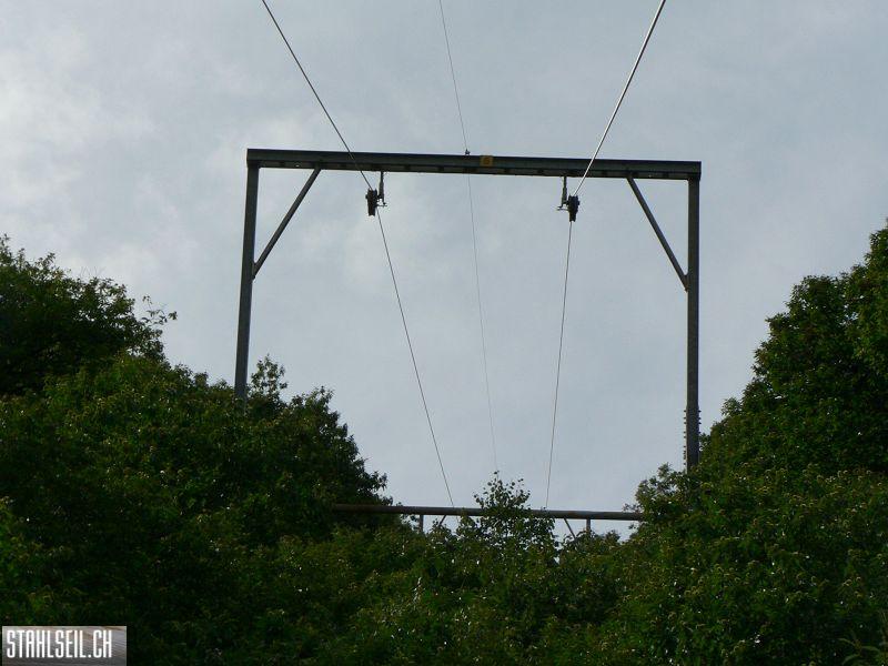 k-P1100415.JPG