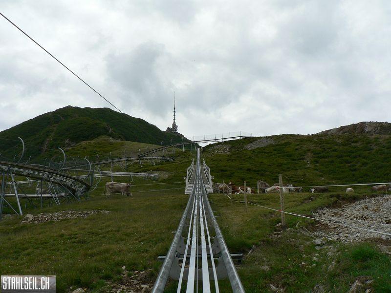 k-P1060688.JPG