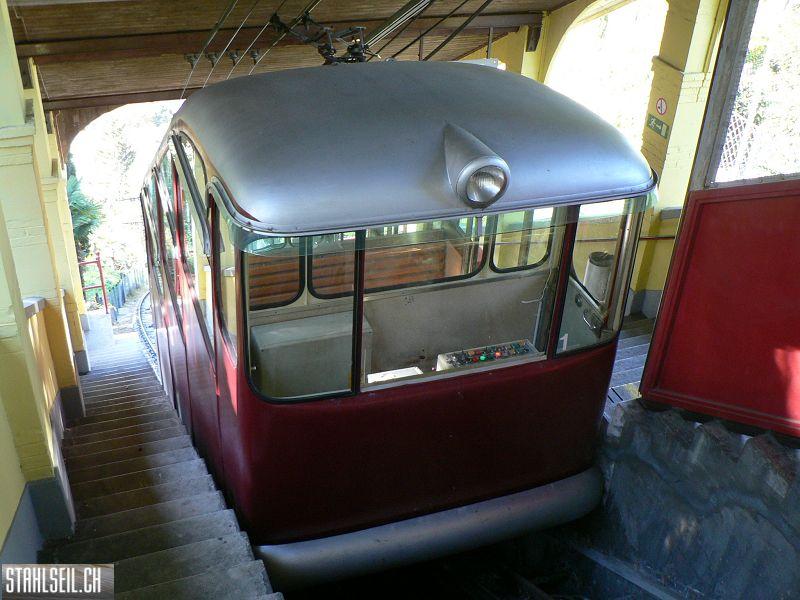 k-P1470292.JPG