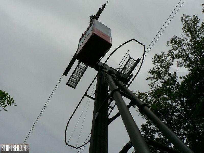 k-P1000681.JPG