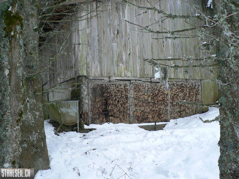 k-P1550205.JPG