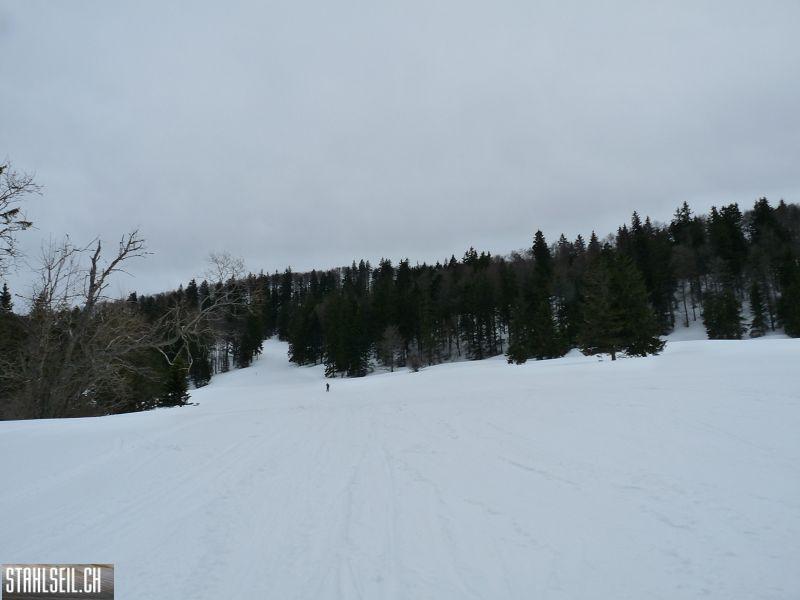 k-P1070230.JPG