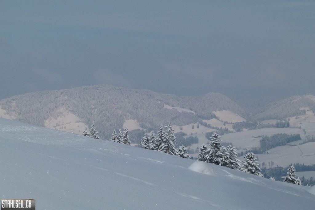 k-P1270931.JPG