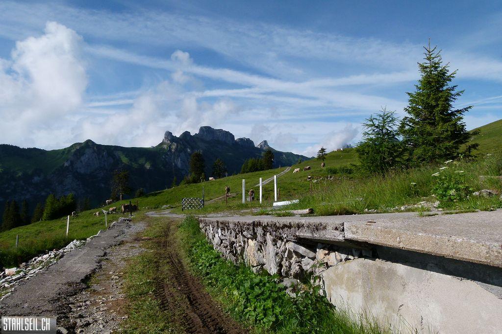 k-P1120432.JPG