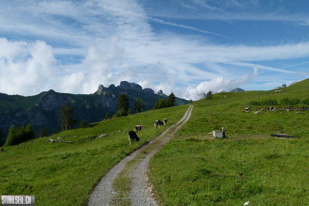 k-P1120480.JPG