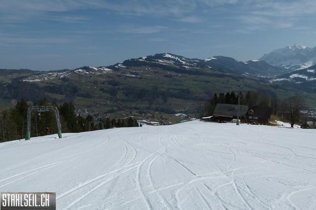 k-P1310626.JPG