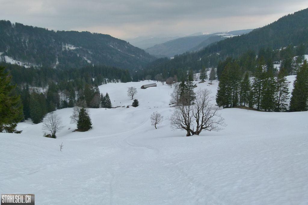 k-P1310838.JPG