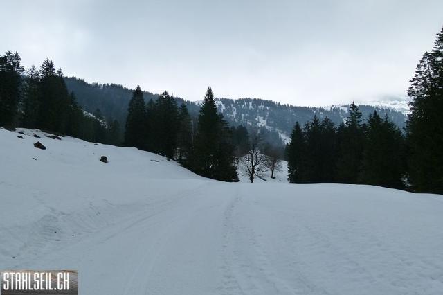 k-P1310842.JPG