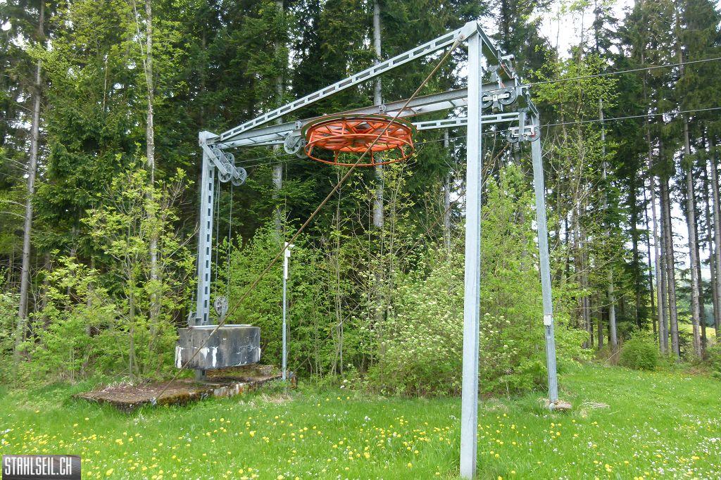 k-P1100430.JPG