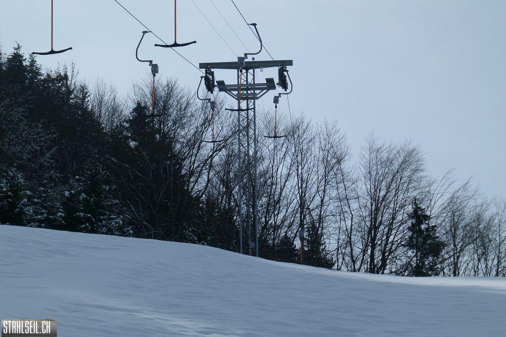 k-P1310263.JPG