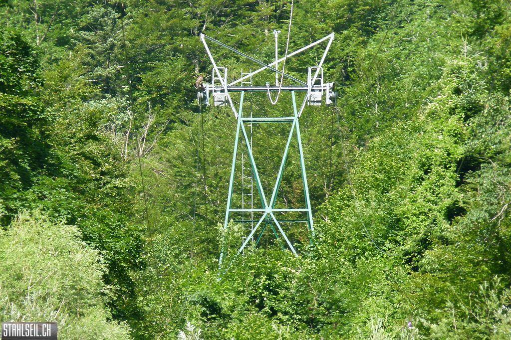 k-P1370337.JPG