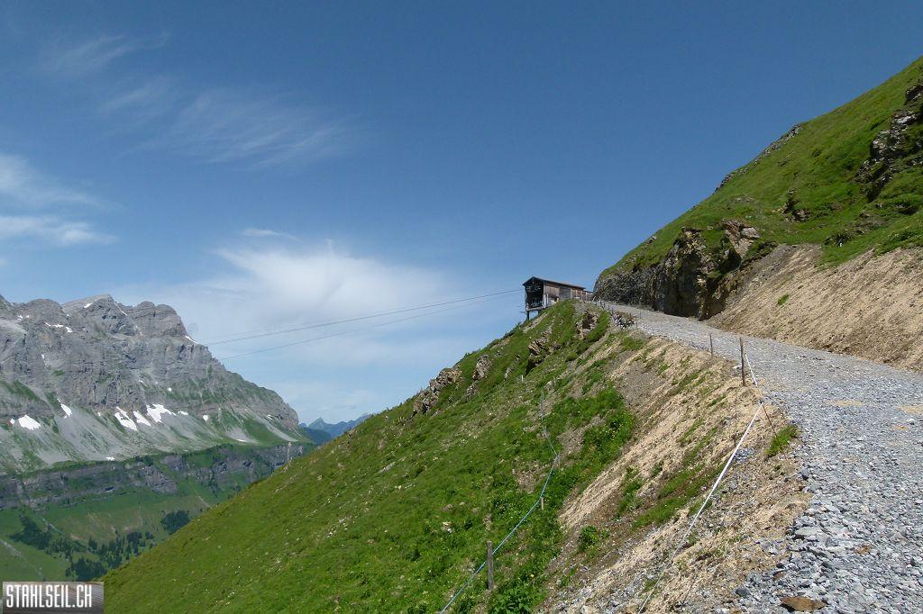 k-P1390092.JPG