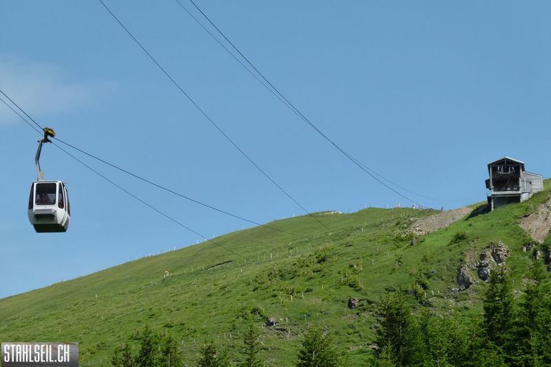 k-P1390137.JPG