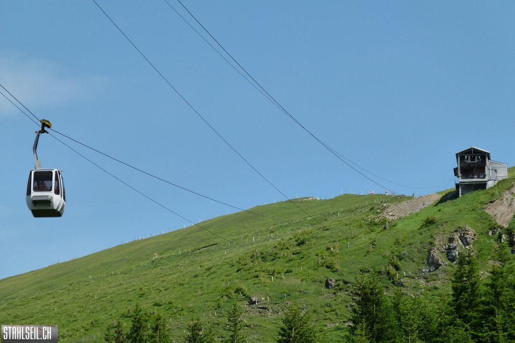 k-P1390137.JPG